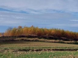 5735876961294010965860182974236210380558860n